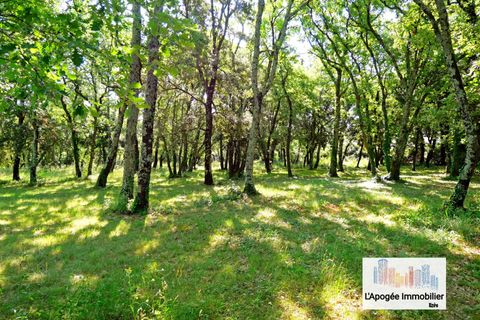 Terra a Uzes, Gard, Uzes - € 180.000 | Ref: 86020256 - foto 2