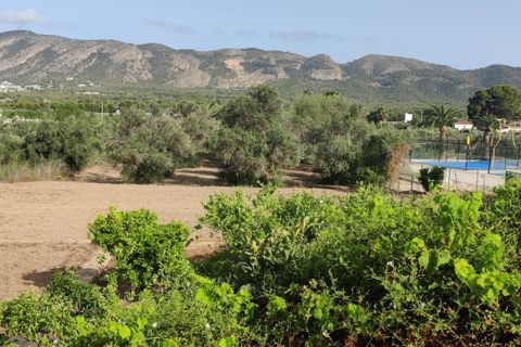 Villa i Benidorm, Alicante, Benidorm - € 390.000 | Ref: NO5499 - foto 2