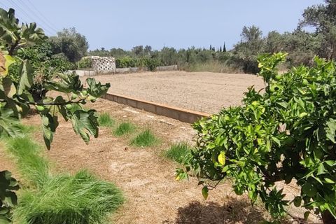 Villa i Benidorm, Alicante, Benidorm - € 390.000 | Ref: NO5499 - foto 3