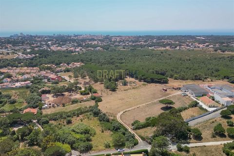 Helårsgrund i Cascais, Lisbon, Cascais - € 6.500.000 | Ref: DH764 - foto 10