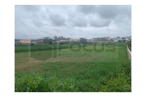 Helårsgrund i Eixo e Eirol, Aveiro, Eixo e Eirol - € 130.000 | Ref: AV25/119 - foto 13