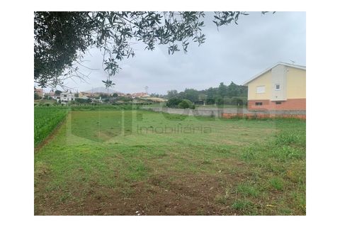 Helårsgrund i Eixo e Eirol, Aveiro, Eixo e Eirol - € 130.000 | Ref: AV25/119 - foto 16