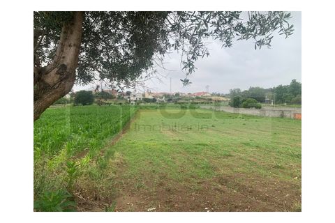 Helårsgrund i Eixo e Eirol, Aveiro, Eixo e Eirol - € 130.000 | Ref: AV25/119 - foto 17