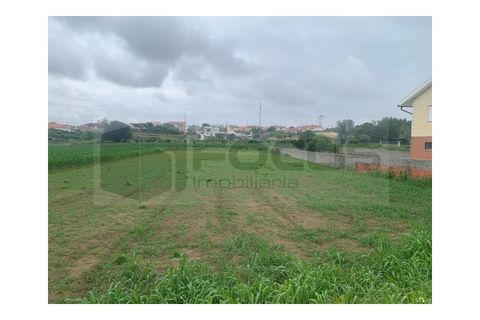 Helårsgrund i Eixo e Eirol, Aveiro, Eixo e Eirol - € 130.000 | Ref: AV25/119 - foto 18