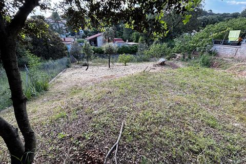Terra a Vacarisses, Barcelona, Vacarisses - € 90.000 | Ref: EXP10236/8930 - foto 2