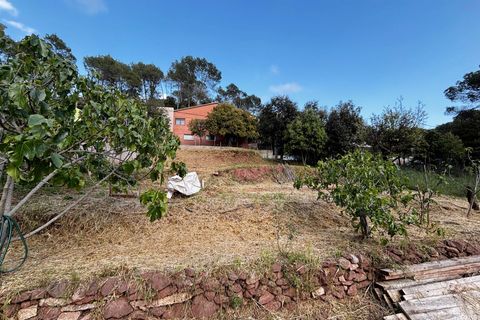 Terra a Vacarisses, Barcelona, Vacarisses - € 90.000 | Ref: EXP10236/8930 - foto 5
