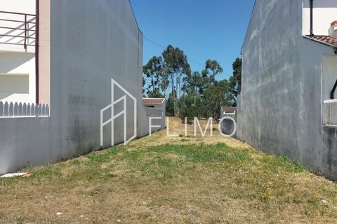 Helårsgrund i Ovar, Aveiro, Ovar - € 52.000 | Ref: T-102 - foto 2