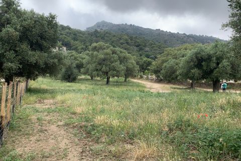 Terra a Muro, Haute-Corse, Muro - € 321.000 | Ref: 35658 - foto 5
