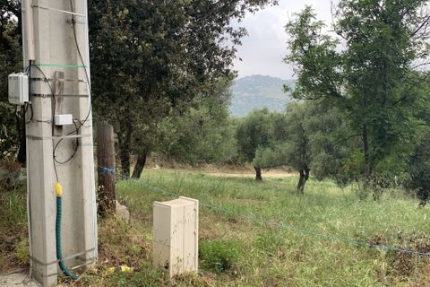 Terra a Muro, Haute-Corse, Muro - € 321.000 | Ref: 35658 - foto 6