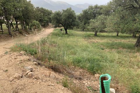 Terra a Muro, Haute-Corse, Muro - € 321.000 | Ref: 35658 - foto 11