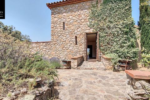 Villa i Ceret, Pyrenees-Orientales, Ceret - € 580.000 | Ref: 660303580 - foto 37