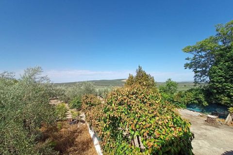 Cortijo i Cabra, Cordoba, Cabra - € 42.900 | Ref: AI-Cortijo Jordan - foto 7