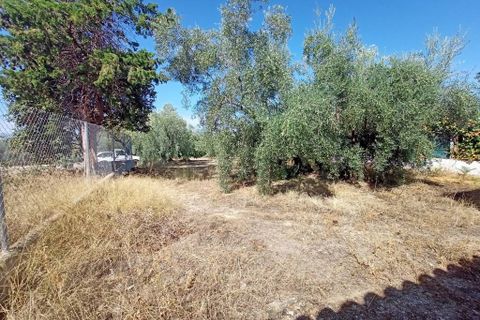 Cortijo i Cabra, Cordoba, Cabra - € 42.900 | Ref: AI-Cortijo Jordan - foto 13