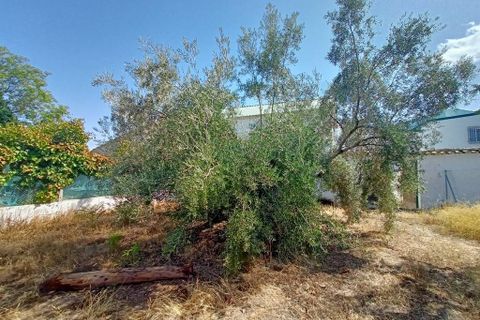 Cortijo i Cabra, Cordoba, Cabra - € 42.900 | Ref: AI-Cortijo Jordan - foto 14