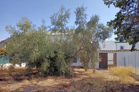 Cortijo i Cabra, Cordoba, Cabra - € 42.900 | Ref: AI-Cortijo Jordan - foto 16