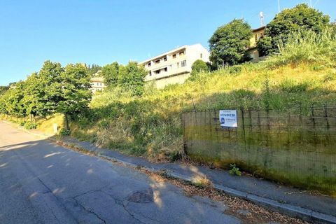 Terra a Bertinoro, Forli-Cesena, Bertinoro - € 90.000 | Ref: 2536537 - foto 2