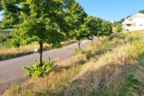 Terra a Bertinoro, Forli-Cesena, Bertinoro - € 90.000 | Ref: 2536537 - foto 5