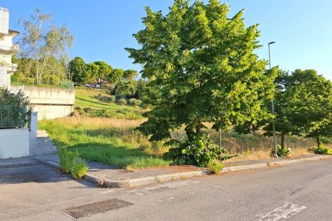 Terra a Bertinoro, Forli-Cesena, Bertinoro - € 90.000 | Ref: 2536537 - foto 9