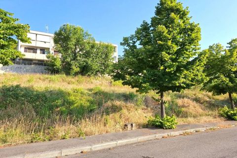 Terra a Bertinoro, Forli-Cesena, Bertinoro - € 90.000 | Ref: 2536537 - foto 11