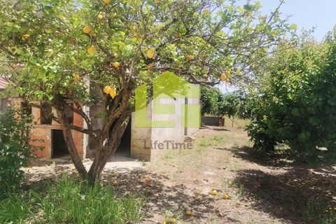 Rækkehus i Condeixa-a-Nova, Coimbra, Condeixa-a-Nova - € 187.000 | Ref: LT1402 - foto 20