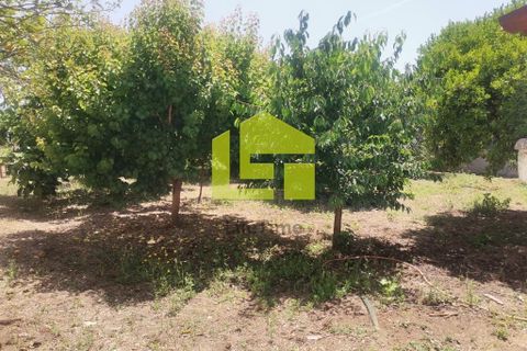 Rækkehus i Condeixa-a-Nova, Coimbra, Condeixa-a-Nova - € 187.000 | Ref: LT1402 - foto 21