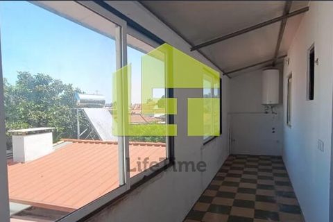 Byhus i Golega, Santarem, Golega - € 275.000 | Ref: LT1403 - foto 5