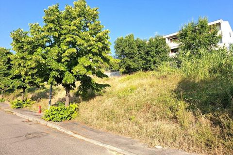Terra a Bertinoro, Forli-Cesena, Bertinoro - € 60.000 | Ref: 2536344 - foto 3