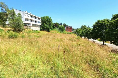 Terra a Bertinoro, Forli-Cesena, Bertinoro - € 60.000 | Ref: 2536344 - foto 4
