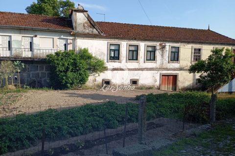 Farm i Paredes, Porto, Paredes - € 900.000 | Ref: 243-Q-00805 - foto 4