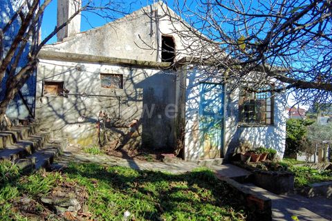 Villa i Castelo Branco, Castelo Branco, Castelo Branco - € 65.000 | Ref: 102250107 - foto 10