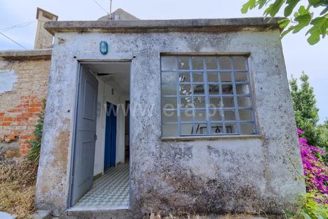 Villa i Castelo Branco, Castelo Branco, Castelo Branco - € 65.000 | Ref: 102250107 - foto 3