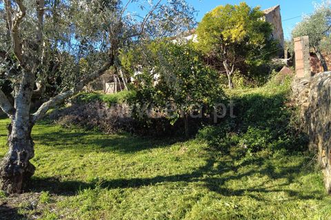 Villa i Castelo Branco, Castelo Branco, Castelo Branco - € 65.000 | Ref: 102250107 - foto 18
