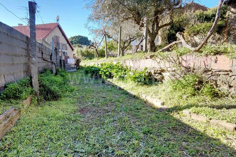 Villa i Castelo Branco, Castelo Branco, Castelo Branco - € 65.000 | Ref: 102250107 - foto 19
