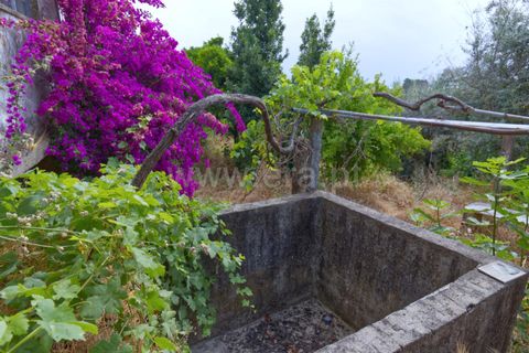 Villa i Castelo Branco, Castelo Branco, Castelo Branco - € 65.000 | Ref: 102250107 - foto 20