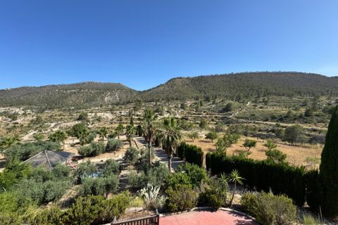Landejendom i Ojos, Murcia, Ojos - € 636.300 | Ref: 2468 - foto 41