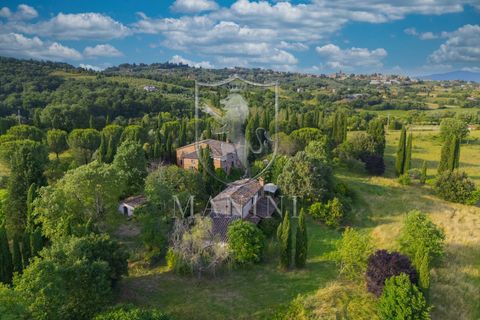 Landejendom i Sinalunga, Siena, Sinalunga - € 1.200.000 | Ref: 444 - foto 25