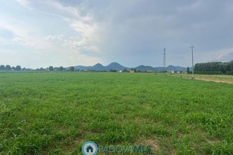 Landejendom i Monselice, Padua, Monselice - € 150.000 | Ref: MLS1439-1209 - foto 4