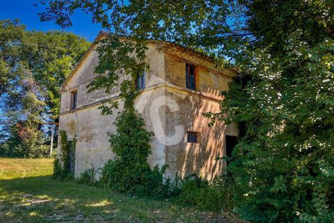 Villa a Trecastelli, Ancona, Trecastelli - € 195.000 | Ref: 1969 - foto 4