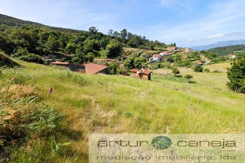 Farm i Ponte de Lima, Viana do Castelo, Ponte de Lima - € 119.000 | Ref: 7164 - foto 1