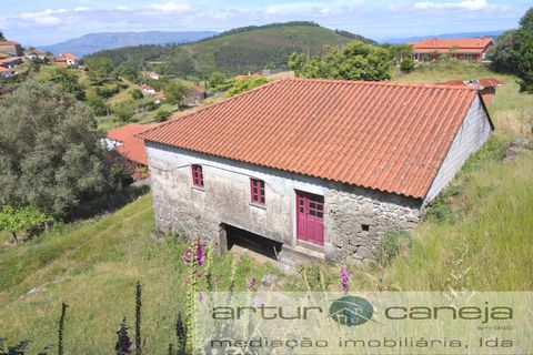 Farm i Ponte de Lima, Viana do Castelo, Ponte de Lima - € 119.000 | Ref: 7164 - foto 2