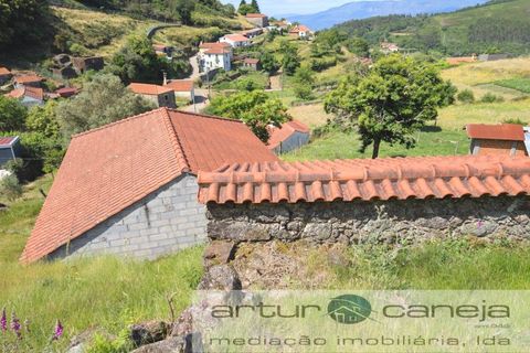Farm i Ponte de Lima, Viana do Castelo, Ponte de Lima - € 119.000 | Ref: 7164 - foto 3