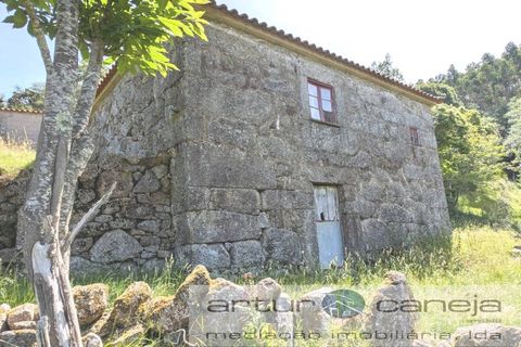 Farm i Ponte de Lima, Viana do Castelo, Ponte de Lima - € 119.000 | Ref: 7164 - foto 4