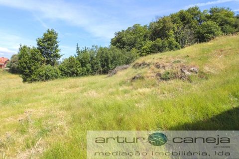 Farm i Ponte de Lima, Viana do Castelo, Ponte de Lima - € 119.000 | Ref: 7164 - foto 5
