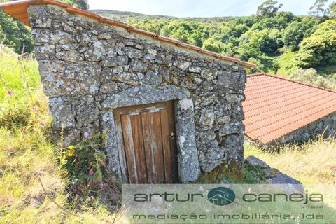 Farm i Ponte de Lima, Viana do Castelo, Ponte de Lima - € 119.000 | Ref: 7164 - foto 6