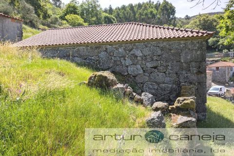 Farm i Ponte de Lima, Viana do Castelo, Ponte de Lima - € 119.000 | Ref: 7164 - foto 7