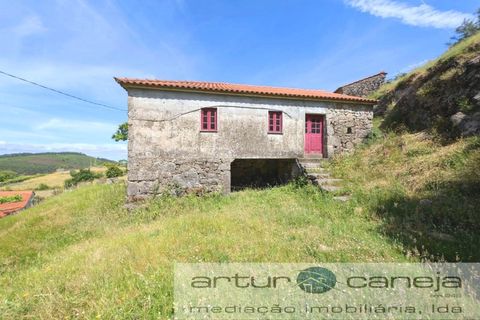 Farm i Ponte de Lima, Viana do Castelo, Ponte de Lima - € 119.000 | Ref: 7164 - foto 8