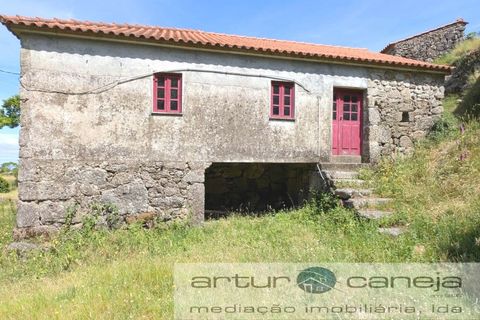 Farm i Ponte de Lima, Viana do Castelo, Ponte de Lima - € 119.000 | Ref: 7164 - foto 9