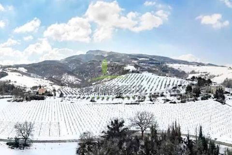 Terra a Rotella, Ascoli Piceno, Rotella - € 79.000 | Ref: 424 - foto 2