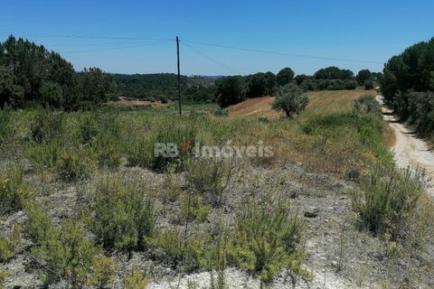 Helårsgrund i Tomar, Santarem, Tomar - € 70.000 | Ref: 01584-25 - foto 4