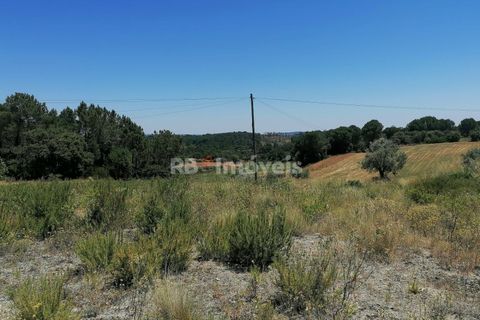 Helårsgrund i Tomar, Santarem, Tomar - € 70.000 | Ref: 01584-25 - foto 5